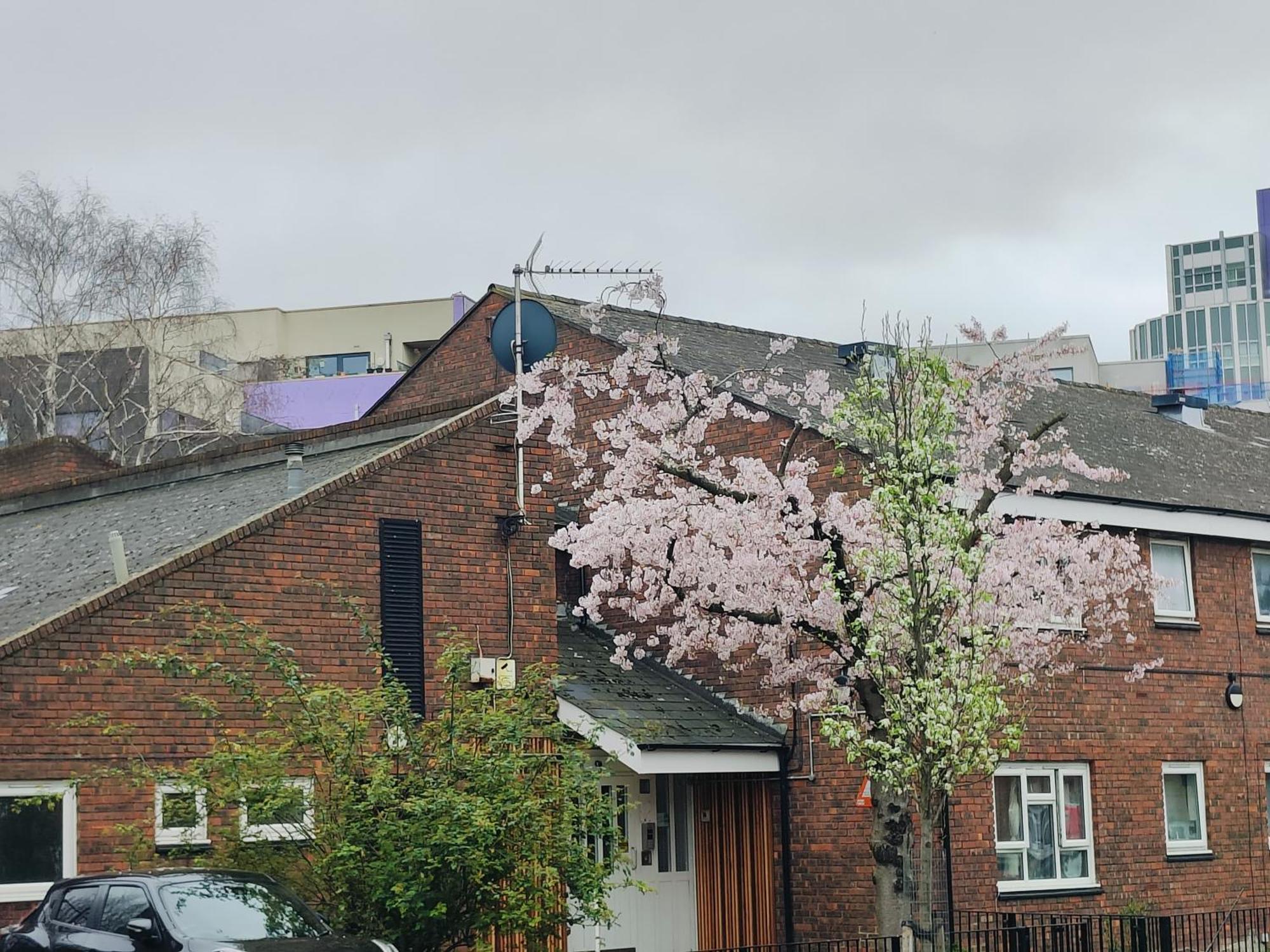 Clifton House O2 & Excel Rooms With Private Bathroom And Breakfast Option London Exteriör bild